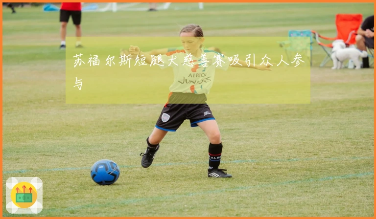 苏福尔斯短腿犬慈善赛吸引众人参与