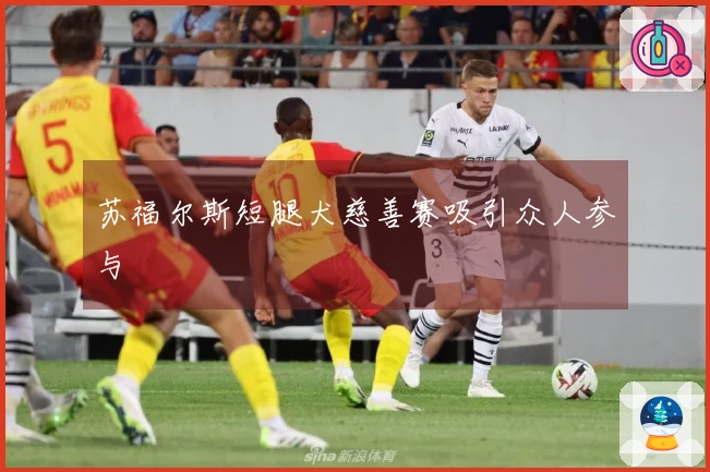 苏福尔斯短腿犬慈善赛吸引众人参与